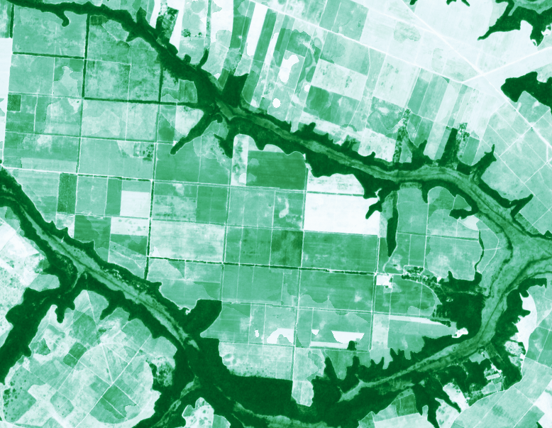 Análise de Biomarcadores